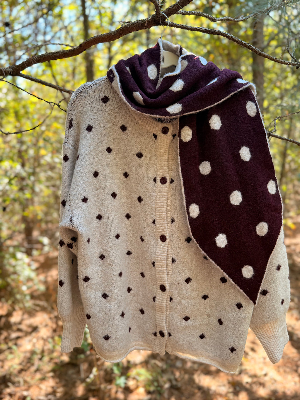 Sweater Cardigan With Removable Scarf