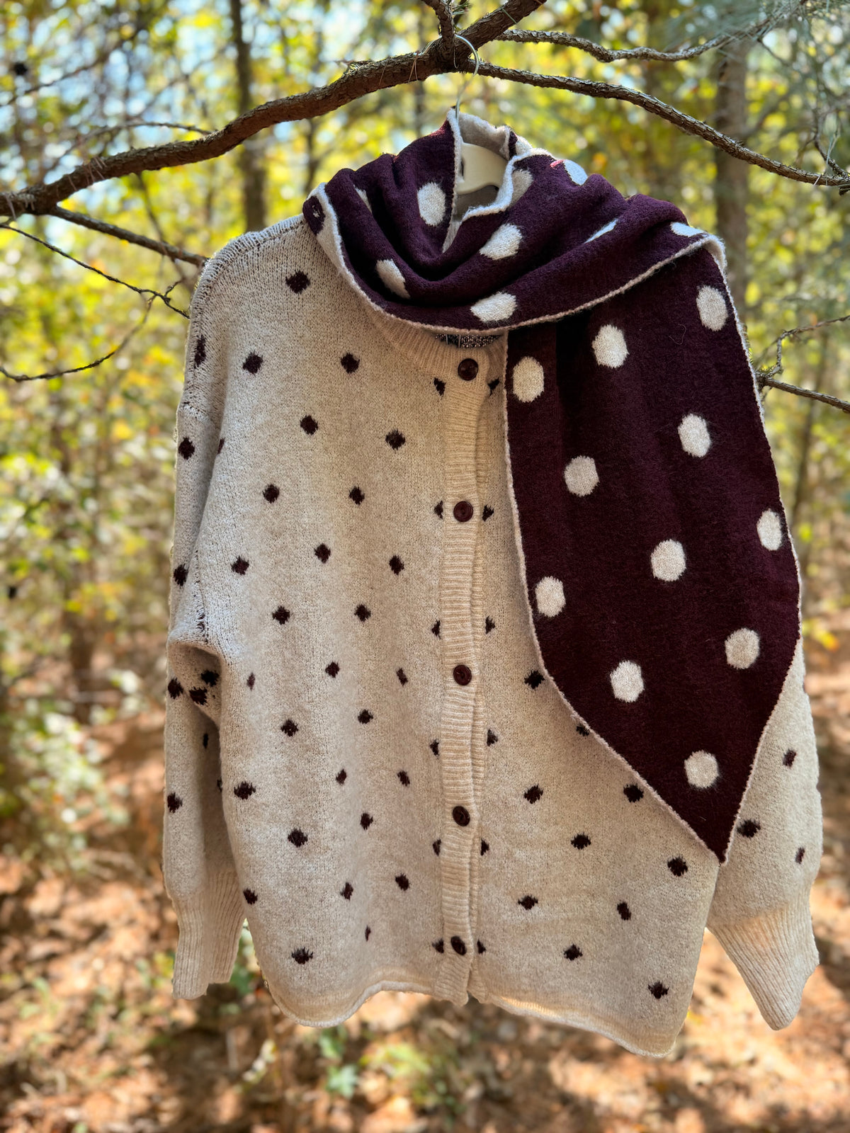 Sweater Cardigan With Removable Scarf